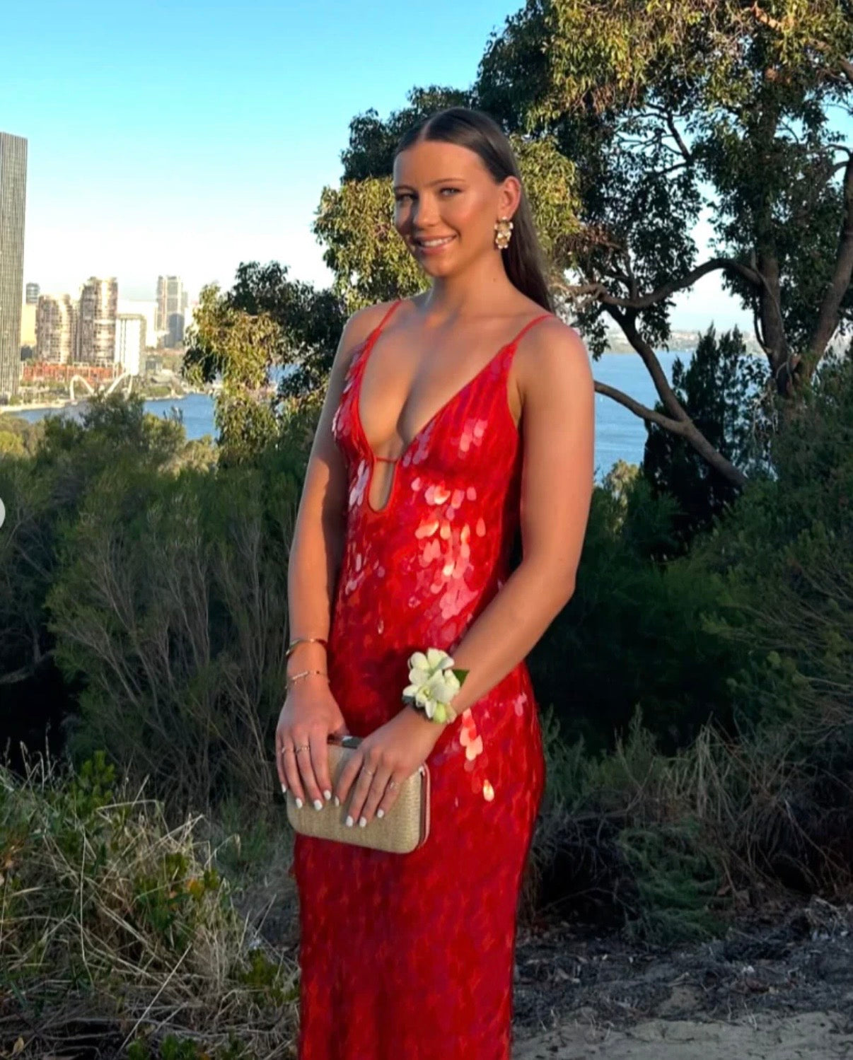 Misha Sapphire Dress