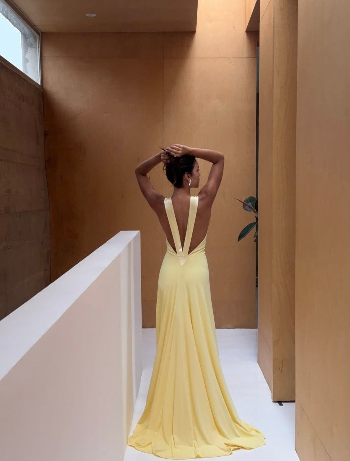Ance Gria Rosa Gown